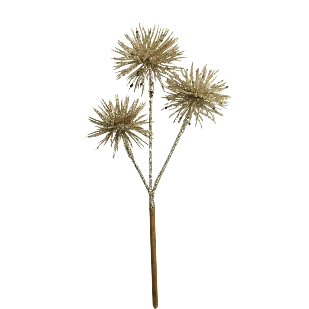 Buy π Champagne Pom Pom Pick by Ashland® β€οΈ 4 Buy π Champagne Pom Pom Pick by Ashland® β€οΈ - Image 2