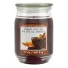 Brand new 😀 Cranberry Spiced Cider Scented Jar Candle by Ashland® ❤️