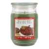 Discount ❤️ Holly Jolly Berry Scented Jar Candle by Ashland® 🌟 -Ashland Shop 10699755 1