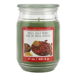 Discount ❤️ Holly Jolly Berry Scented Jar Candle by Ashland® 🌟