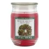 Brand new 😉 Mistletoe & Holly Scented Candle Jar by Ashland® 🥰 -Ashland Shop 10699761 1