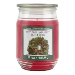 Brand new 😉 Mistletoe & Holly Scented Candle Jar by Ashland® 🥰