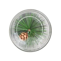 Best Pirce 🤩 6" Pine Leaf Glass Tealight Holder by Ashland® 🔥 -Ashland Shop 10699910 4