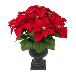 Hot Sale 😍 24" Deluxe Potted Red Poinsettia by Ashland® ✔️