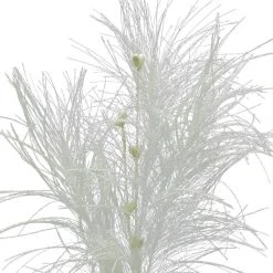 Flash Sale 😀 Assorted Pampas Grass & Pip Pick by Ashland® ❄ Christmas 😉 -Ashland Shop 10700101 3