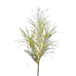 Flash Sale 😀 Assorted Pampas Grass & Pip Pick by Ashland® ❄ Christmas 😉 -Ashland Shop 10700101 4