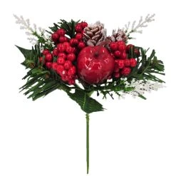 Top 10 🌟 Apple & Berry Pick by Ashland® 🛒