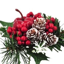 Top 10 🌟 Apple & Berry Pick by Ashland® 🛒 -Ashland Shop 10700123 4