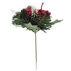 Top 10 🌟 Apple & Berry Pick by Ashland® 🛒 -Ashland Shop 10700123 5