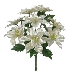 Cheap 🥰 Champagne Poinsettia Bush by Ashland® ✔️