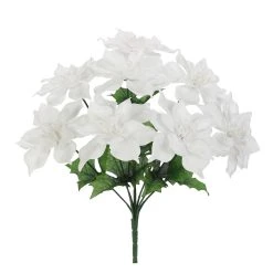 Flash Sale 🎉 White Poinsettia Bush by Ashland® ⭐