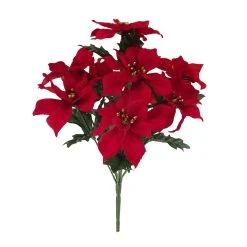Cheap ⌛ Crimson Poinsettia Bush by Ashland® 😍