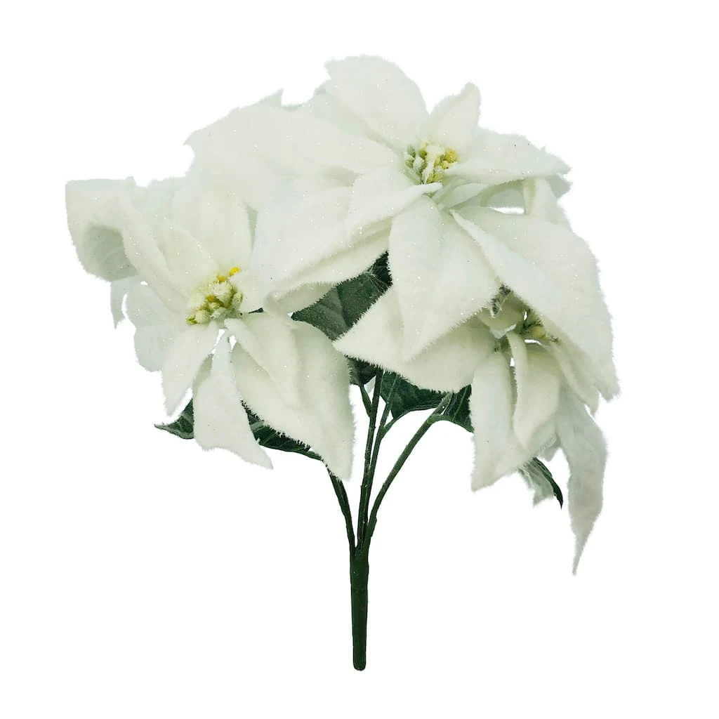Best deal 😍 Snow Covered Poinsettia Bush by Ashland® 👏 3 Best deal 😍 Snow Covered Poinsettia Bush by Ashland® 👏