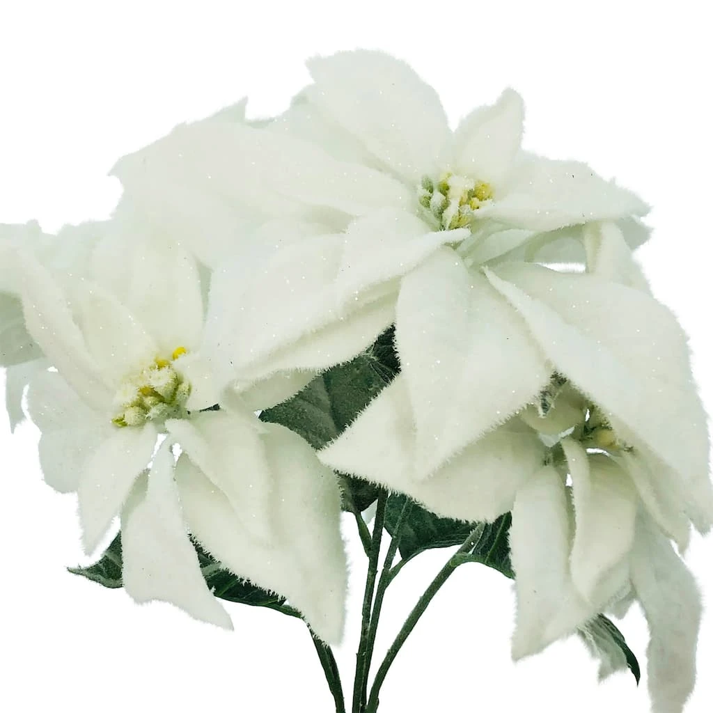 Best deal 😍 Snow Covered Poinsettia Bush by Ashland® 👏 4 Best deal 😍 Snow Covered Poinsettia Bush by Ashland® 👏 - Image 2