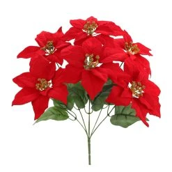 Best deal ✔️ Red Poinsettia Bush by Ashland® ✔️