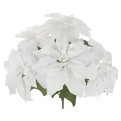 Brand new 🎁 White Poinsettia Bush by Ashland® ⌛ -Ashland Shop 10700148 2