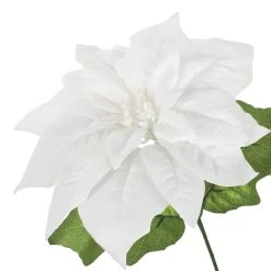 Brand new 🎁 White Poinsettia Bush by Ashland® ⌛ -Ashland Shop 10700148 3