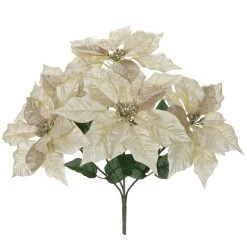 Promo 💯 Champagne Poinsettia Bush by Ashland® 🎁