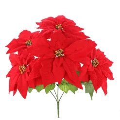 Cheapest 👍 Red Poinsettia Bush by Ashland® 🎁