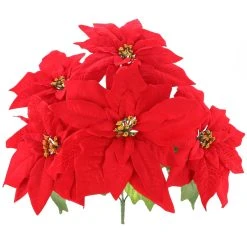 Cheapest 👍 Red Poinsettia Bush by Ashland® 🎁 -Ashland Shop 10700151 2