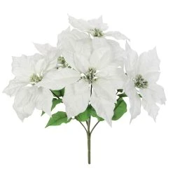 Best deal 🔔 Cream Poinsettia Bush by Ashland® ✔️