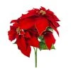 Best Pirce 👍 Red Poinsettia Bush with Gold Edge by Ashland® ✨