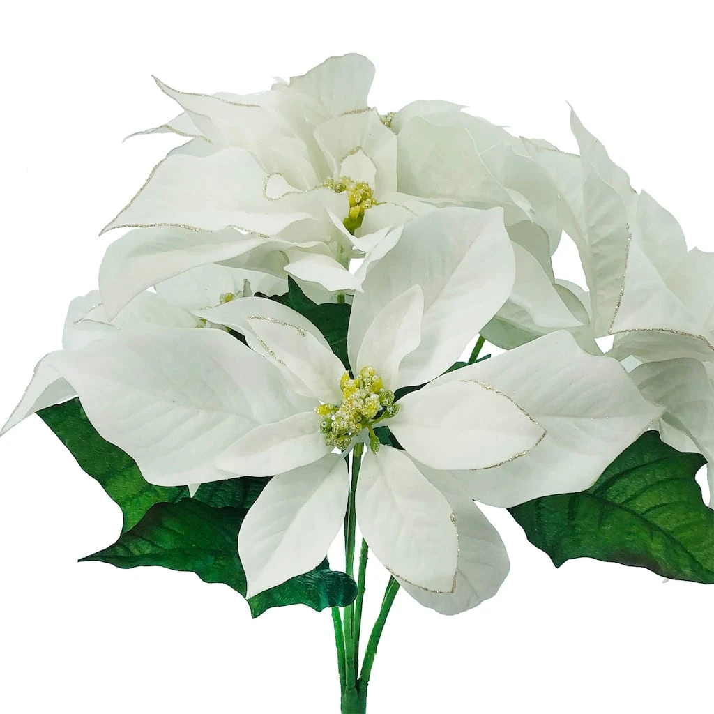 Budget ❤️ White Poinsettia Bush by Ashland® 🧨 4 Budget ❤️ White Poinsettia Bush by Ashland® 🧨 - Image 2
