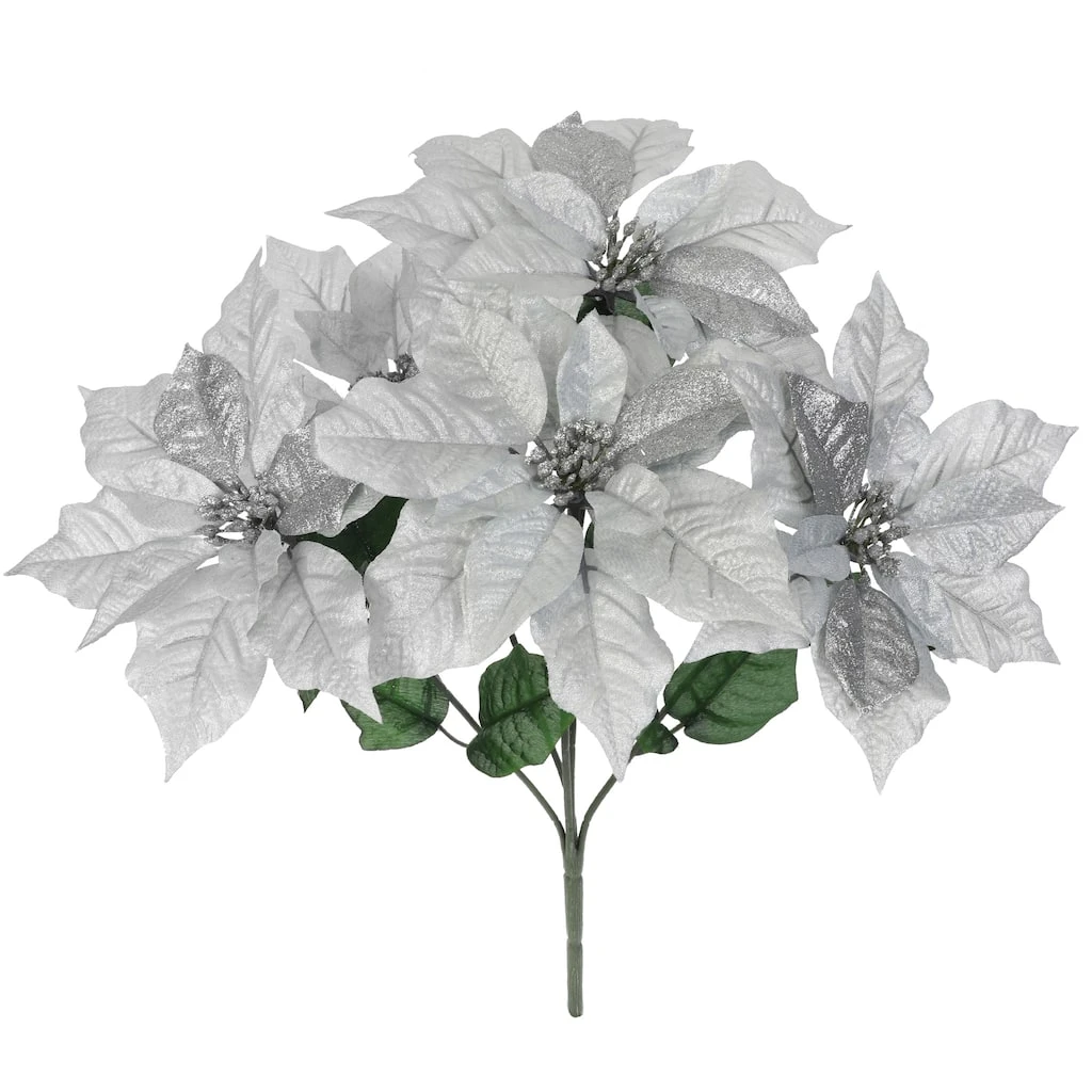 Best Pirce β Silver Poinsettia Bush by Ashland® π₯° 3 Best Pirce β Silver Poinsettia Bush by Ashland® π₯°