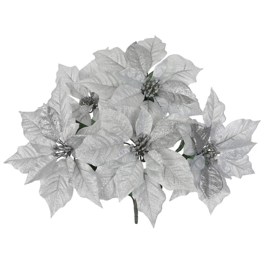 Best Pirce β Silver Poinsettia Bush by Ashland® π₯° 5 Best Pirce β Silver Poinsettia Bush by Ashland® π₯° - Image 3