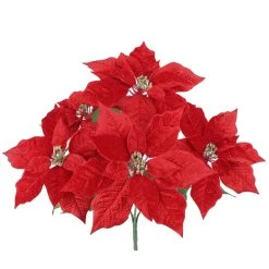 Brand new 😀 Red Poinsettia Bush by Ashland® 😍 -Ashland Shop 10700176 2