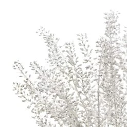 Budget 🧨 White Berry Bush by Ashland® ⌛ -Ashland Shop 10700376 3