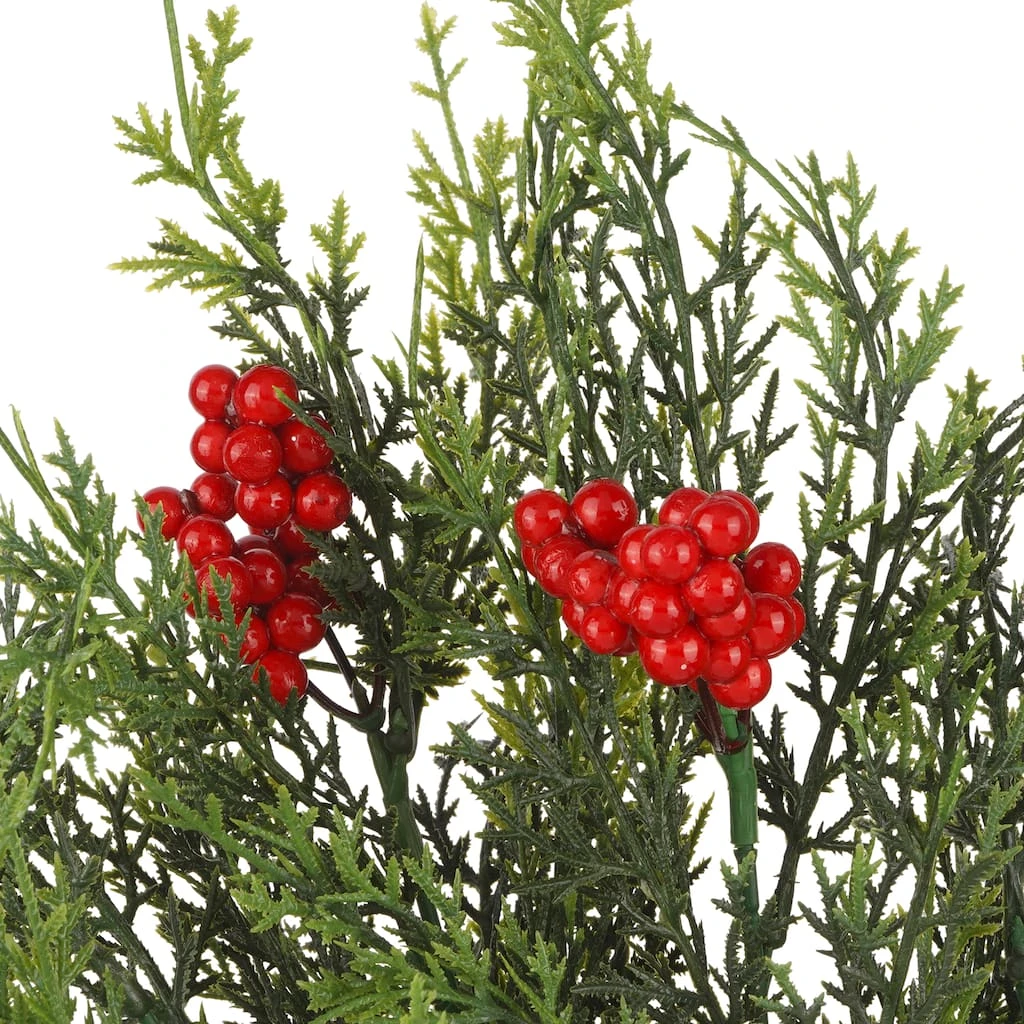 Coupon 👍 Cedar & Berry Bush by Ashland® 👏 4 Coupon 👍 Cedar & Berry Bush by Ashland® 👏 - Image 2