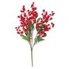 Discount 🥰 Red Berry Bush by Ashland® ✔️