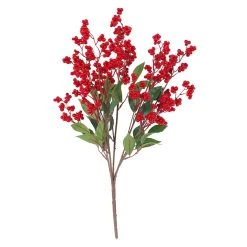 Discount 🥰 Red Berry Bush by Ashland® ✔️