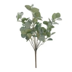 Hot Sale 🧨 Eucalyptus Berry Bush by Ashland® 👍