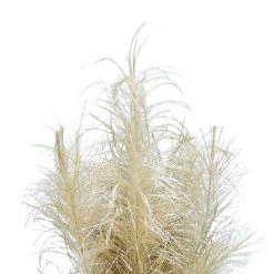 Best Sale 👍 Assorted Glitter Pampas Bush by Ashland® 🔥 -Ashland Shop 10700399 5