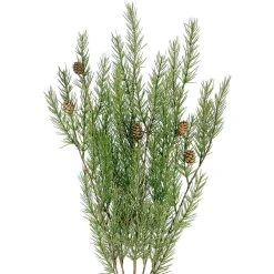 Buy 🎉 Hanging Pine with Pinecone Bush by Ashland® 💯 5 Buy 🎉 Hanging Pine with Pinecone Bush by Ashland® 💯 -Ashland Shop 10700400 2