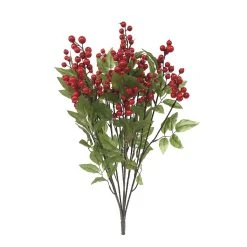 Budget ⭐ Red Cranberry Bush by Ashland® ❤️