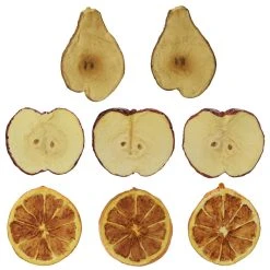 Promo 💯 Decorative Fruit Slices by Ashland® 👏