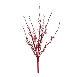 Buy ⌛ Red Twig Branch by Ashland® 👏