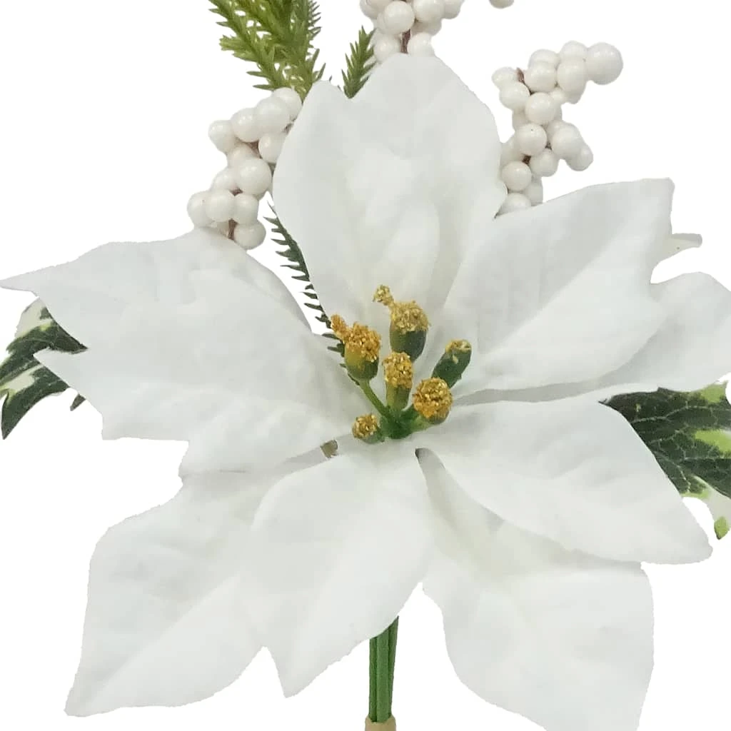 Budget π₯° White Poinsettia & Berry Bush by Ashland® π€© 4 Budget π₯° White Poinsettia & Berry Bush by Ashland® π€© - Image 2