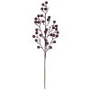 Buy 😉 Glittery Purple Berry Stem by Ashland® 🎉 1 Buy 😉 Glittery Purple Berry Stem by Ashland® 🎉 -Ashland Shop 10700983 1
