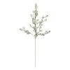 Top 10 🔔 White Berry Twig Stem by Ashland® 🎉 2 Top 10 🔔 White Berry Twig Stem by Ashland® 🎉 -Ashland Shop 10700988 1