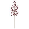 Budget 🛒 Iced Red Rose Berry Stem by Ashland® 🌟 -Ashland Shop 10700997 1