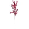 Best Pirce ⭐ Red Berry Cluster Stem by Ashland® 🛒 -Ashland Shop 10701000 1