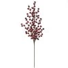 Cheapest ✨ Dark Red Berry Stem by Ashland® ⭐ -Ashland Shop 10701003 1