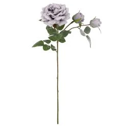 Promo 👍 Gray Snowy Rose Stem by Ashland® ✨