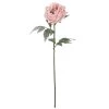 New 🤩 Light Pink Snowy Peony Stem by Ashland® 💯 -Ashland Shop 10701015 1