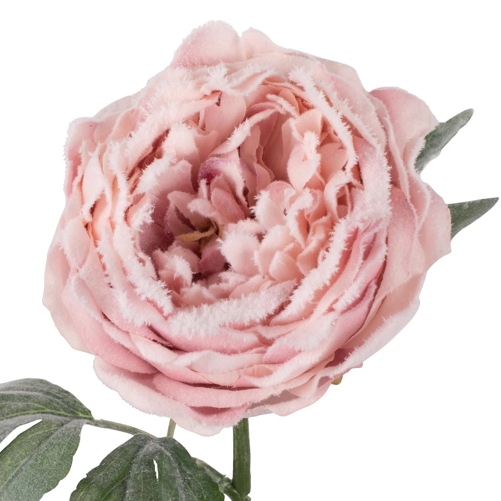 New 🤩 Light Pink Snowy Peony Stem by Ashland® 💯 4 New 🤩 Light Pink Snowy Peony Stem by Ashland® 💯 - Image 2