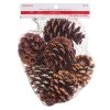 Discount ❤️ Cinnamon Scented Pinecones by Ashland® 🎉 -Ashland Shop 10701018 1